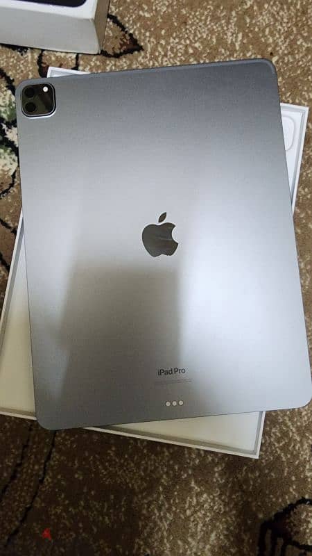 ipad pro m2 12.9 256 space gray 9