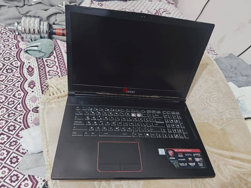 Msi ge73vr 7rf raider 1