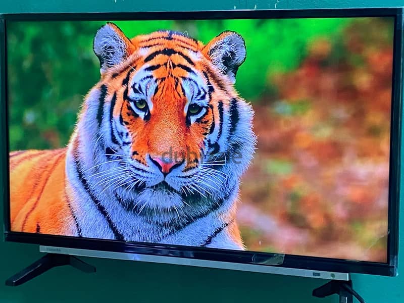 توشيبا 32بوصه Full HD-LED 1080عاديه مش اسمارت جديده حرفيا بلاصق الفريم 11