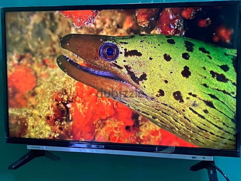 توشيبا 32بوصه Full HD-LED 1080عاديه مش اسمارت جديده حرفيا بلاصق الفريم 12