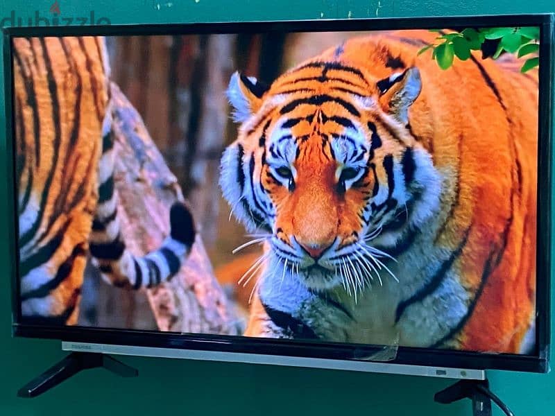 توشيبا 32بوصه Full HD-LED 1080عاديه مش اسمارت جديده حرفيا بلاصق الفريم 13