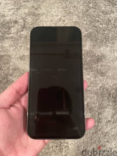 iphone 13 pro max 256gb