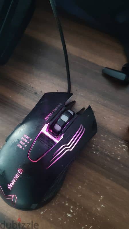 mouse 1