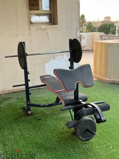 3 in 1 adjustable bench press