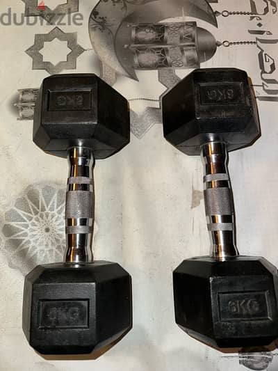 6 kg dumbbells