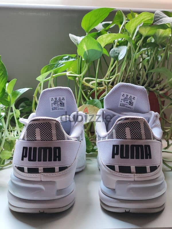 PUMA VIZ RUNNER WHITE 44 6