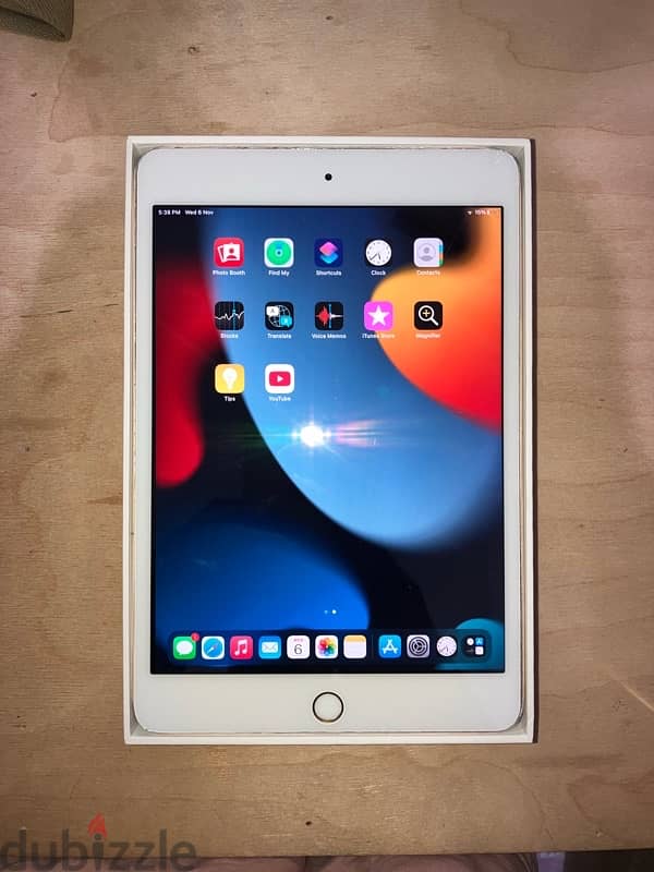 ipad mini 4 2