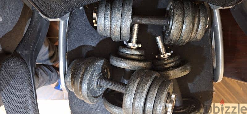 50 kg dumbbells 0