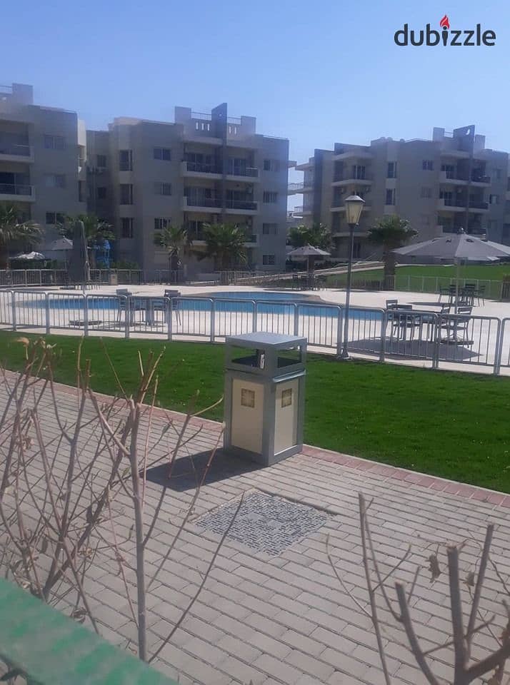 apartment for rent in the address compound , sheikh zayed 10