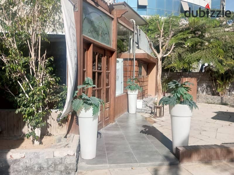 Commercial store for rent  200 m in New Cairo 2