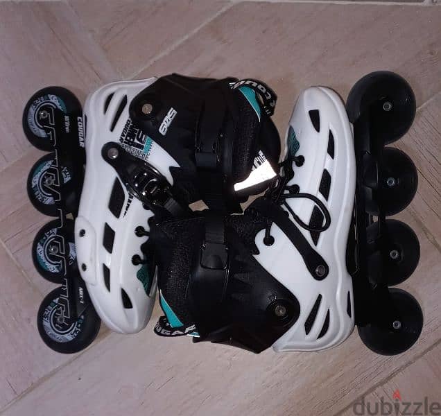 skate cougar 509 سكيت كوجر ٥٠٩ 2