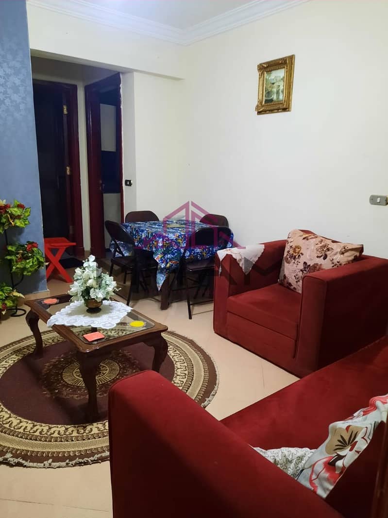 Furnished studio for rent in front of Arabella Mall, Fifth Settlement, ground floor air conditioning, with private entrance - Fifth Settlement 0