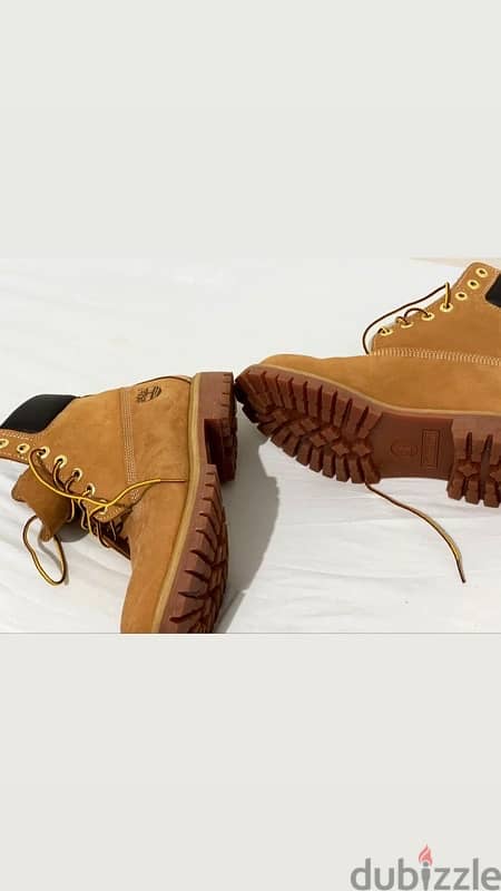 Timberland 1