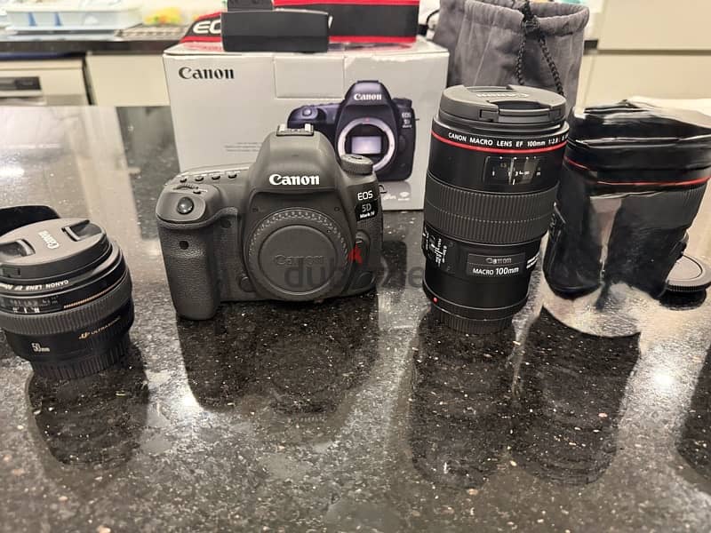 Canon 5D Mark IV, with lenses 1