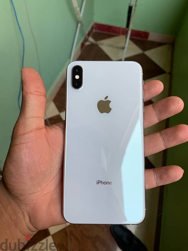 Xs max 256 2