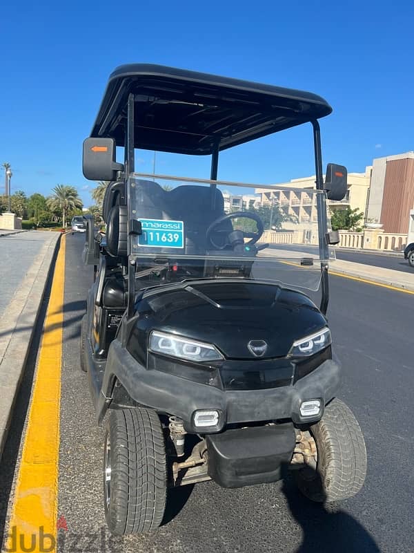 golf cart for rent 2