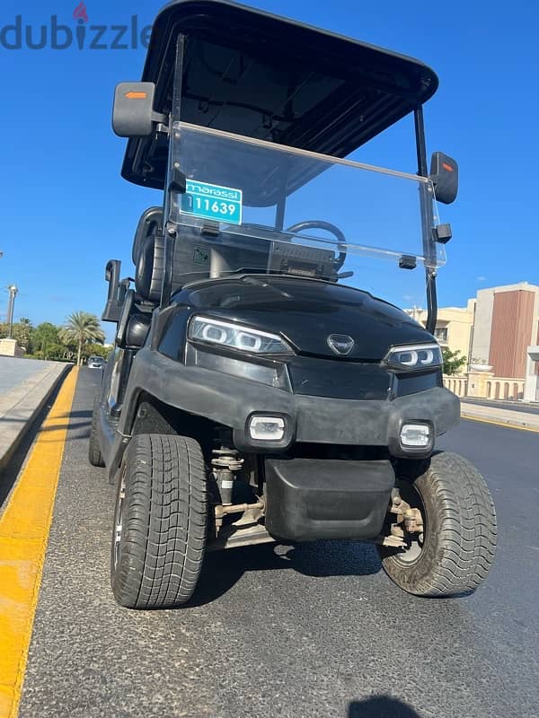 golf cart for rent 4