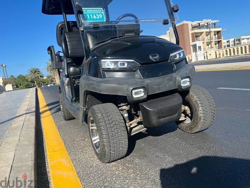 golf cart for rent 5