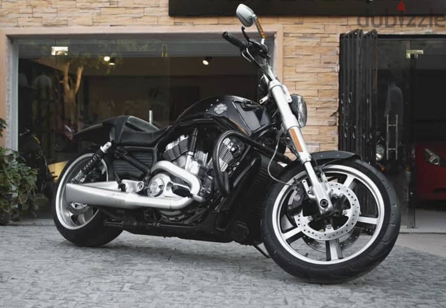 Vrod Muscle 2011 2