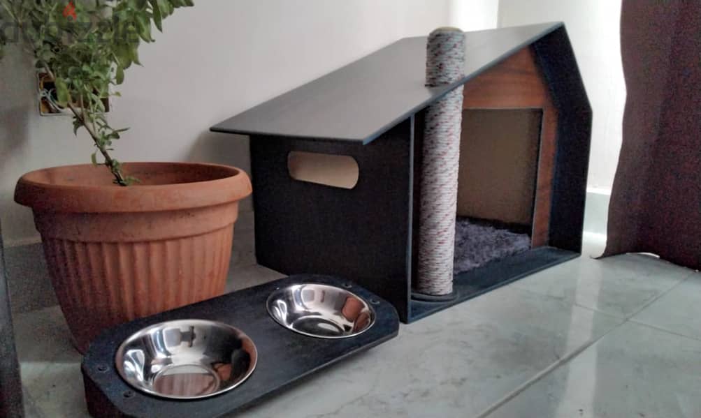 cat home 2