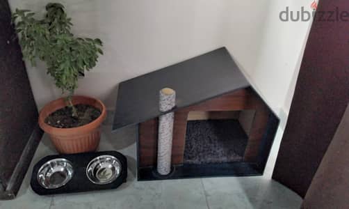 cat home