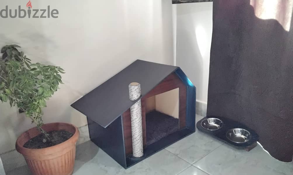 cat home 3