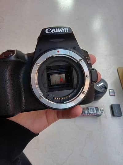 Canon 250D Perfect Condition