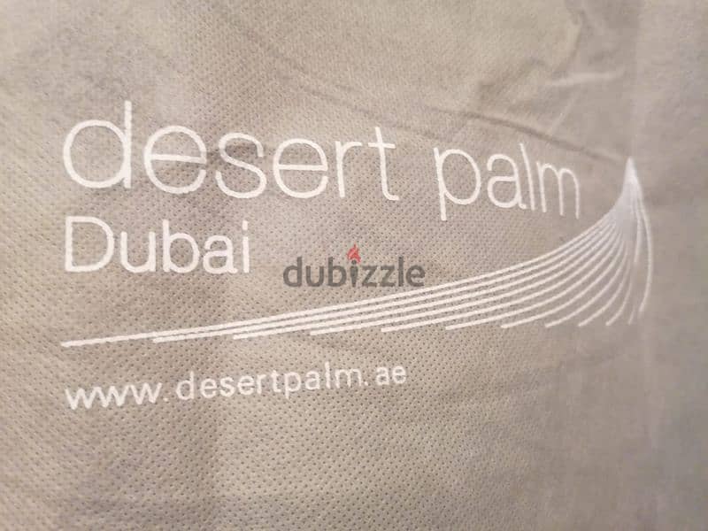 desert palm dubai 7