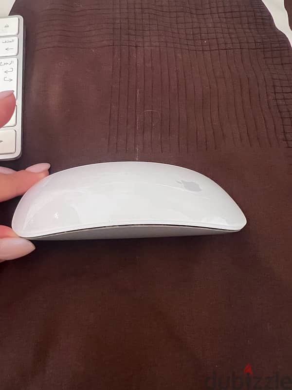 Apple Magic Keyboard (Arabic & English) plus Apple Magic Mouse (White) 5