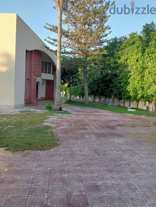 villa for sale in king Mariout with a 5500 SQM land 0