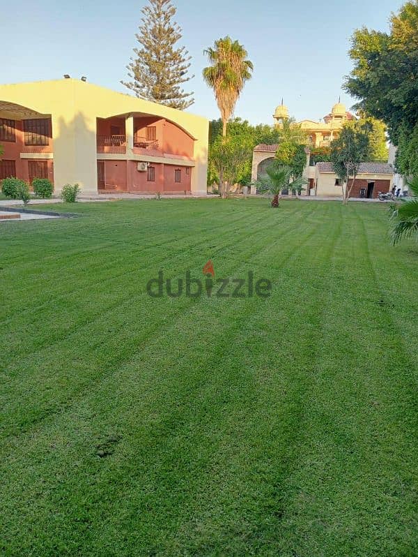 villa for sale in king Mariout with a 5500 SQM land 1