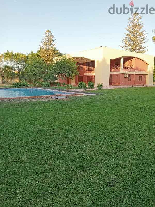 villa for sale in king Mariout with a 5500 SQM land 4