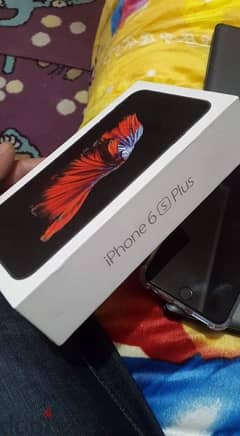 iPhone 6s Plus 0