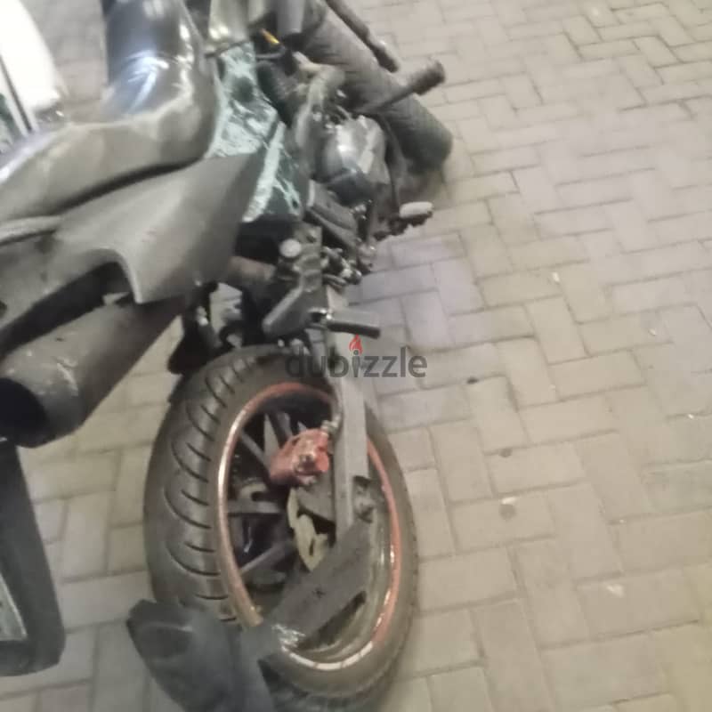 Benelli 2019 1