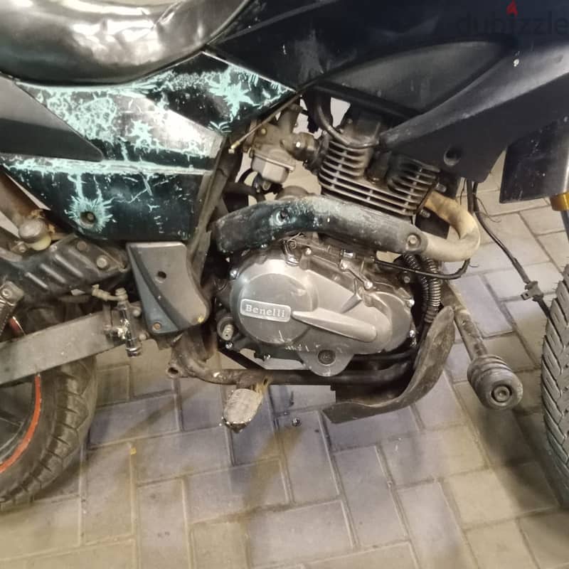 Benelli 2019 3