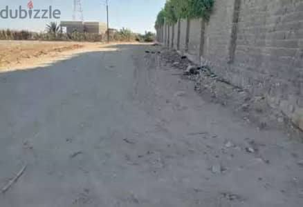 ارض للبيع في كينج ماريوط مساحة ٥٠٤ متر مسجلة \ Land for sale in king