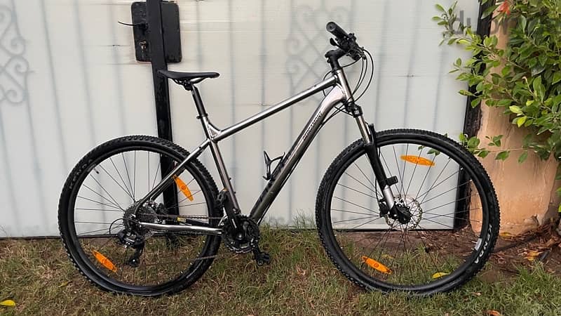 BERGAMONT REVOX 3 HARDTAIL 29“ MOUNTAIN BIKE IN SILVER 2022 (Germany) 0