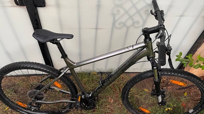 BERGAMONT REVOX 3 HARDTAIL 29“ MOUNTAIN BIKE IN SILVER 2022 (Germany) 1