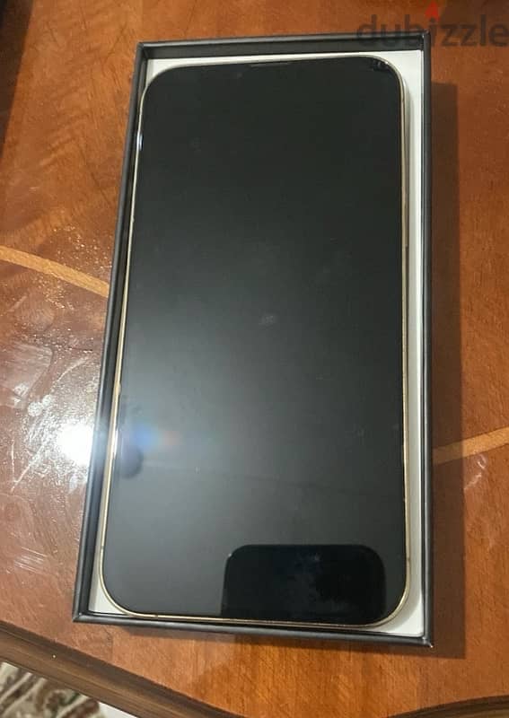 iPhone 13 Pro max 2