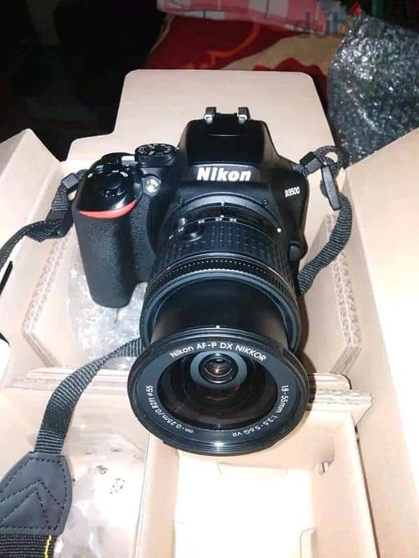 NIKON3500D 2