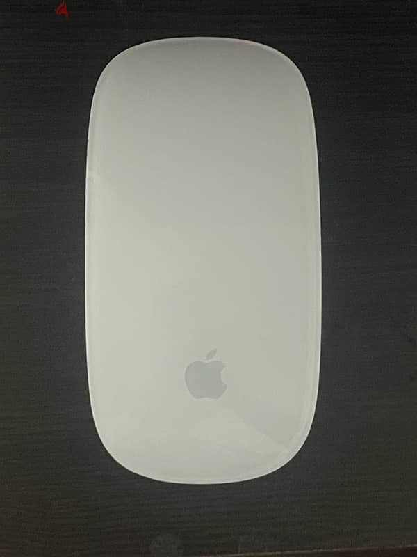 Apple Magic Mouse 1