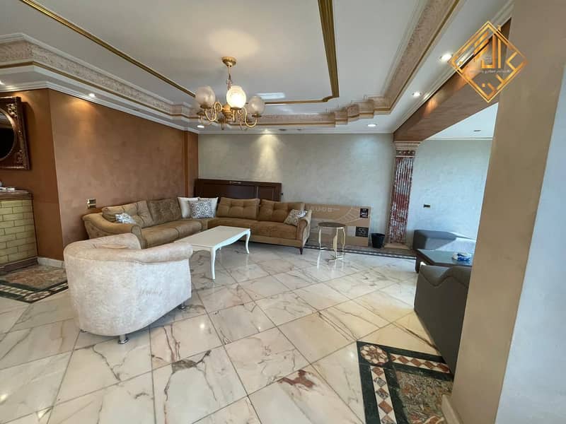 Furnished apartment for rent on Mohi El Din Street - code R061 0