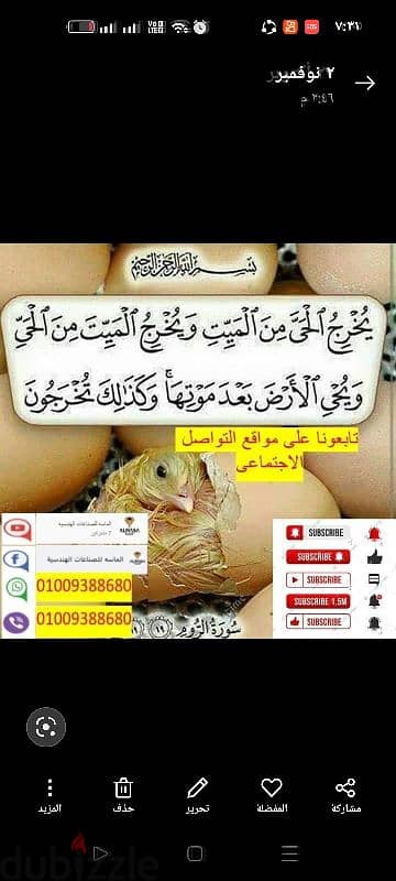 لإنتاج الطيور 2