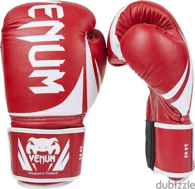 gloves boxing