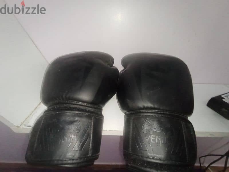 boxing gloves venum جلافزات بوكسينج 0