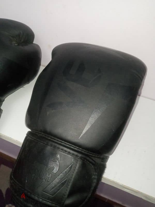 boxing gloves venum جلافزات بوكسينج 1