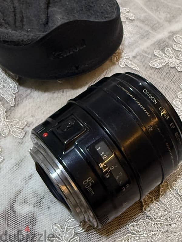 85mm 1.8 USM + 50mm 1.8 STM 4