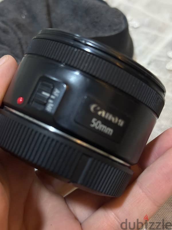 85mm 1.8 USM + 50mm 1.8 STM 5