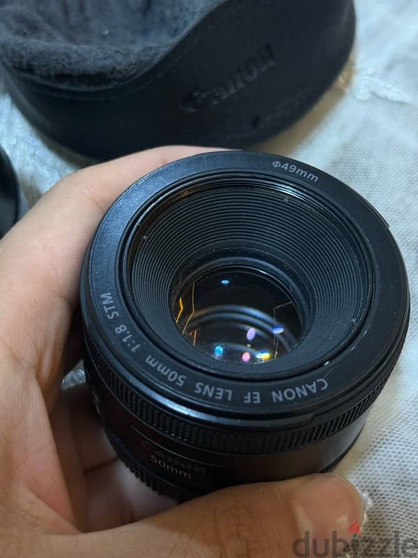 85mm 1.8 USM + 50mm 1.8 STM 6