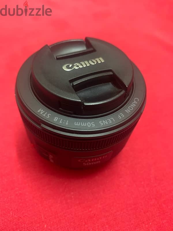 lens canon 50mm f/1.8 stm 5